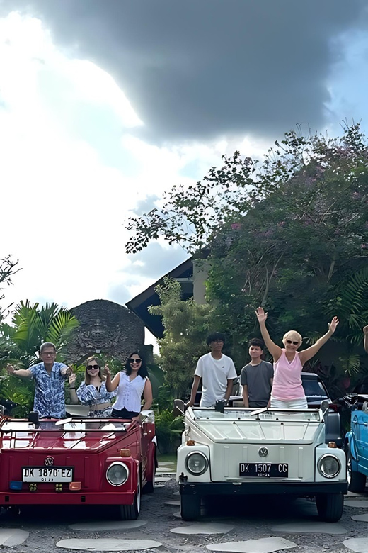 Best Experience: Half-Day Ubud VW Tour for Family and Groups - Itinerary Highlights