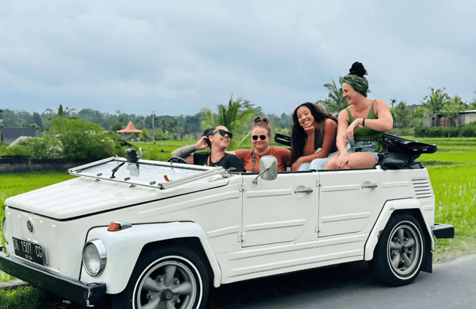 Best Experience: Half-Day Ubud VW Tour for Family and Groups - Customization Options