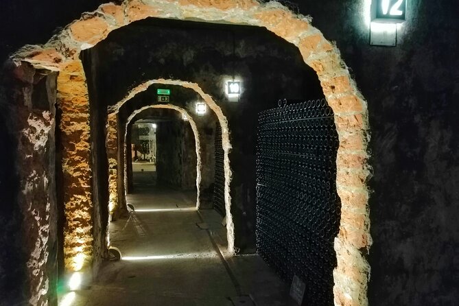 Best Flavors of Bairrada Winery Route, Half Day From Coimbra - Key Points