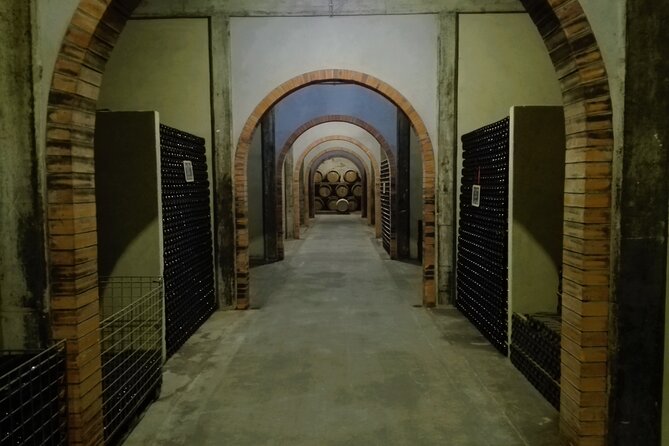 Best Flavors of Bairrada Winery Route, Half Day From Coimbra - Wineries Visited