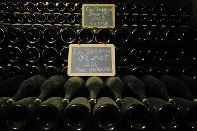 Best Flavors of Bairrada Winery Route, Half Day From Coimbra - Reviews