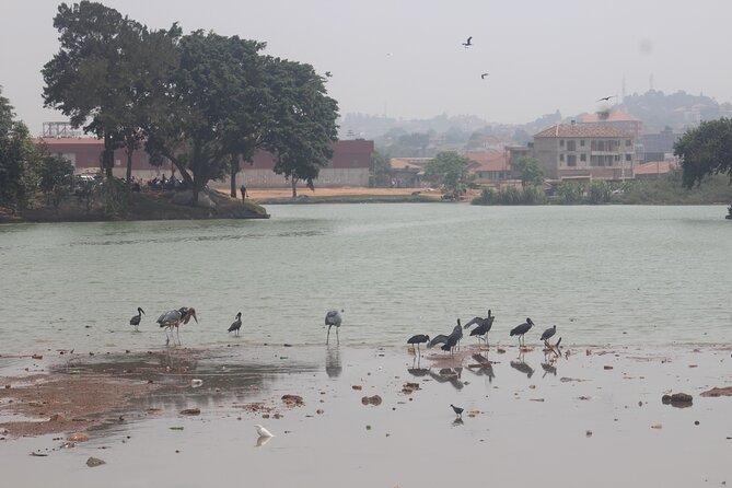 Best Full Day Cultural Tour of Kampala - Accessibility and Capacity