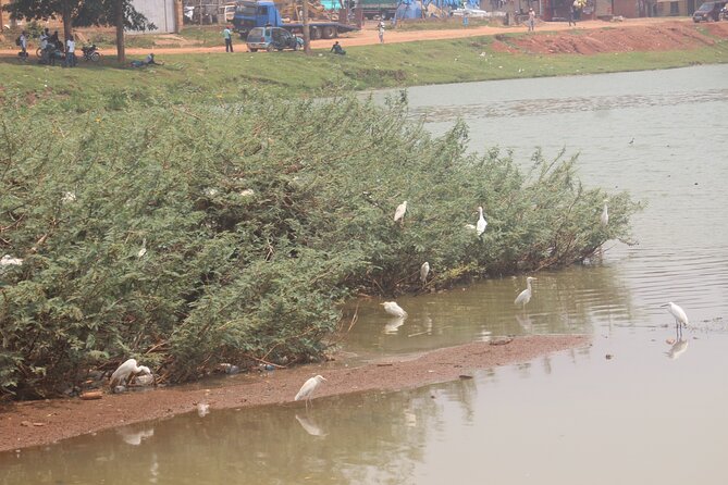 Best Full Day Cultural Tour of Kampala - What to Expect