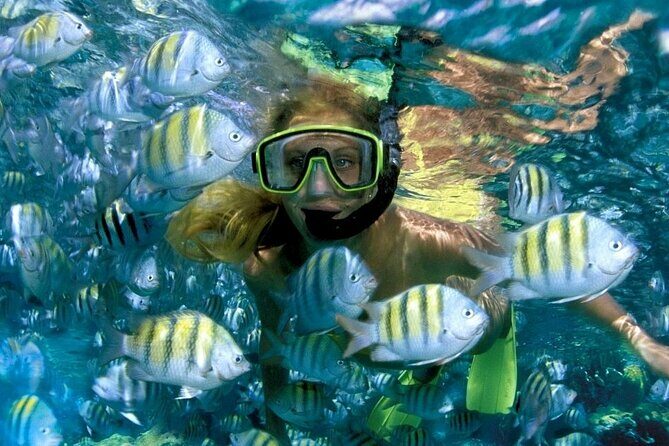Best half-day snorkel tour: visit Kaan Luum, Yalku & Cenote - An In-Depth Look at the Tour Experience