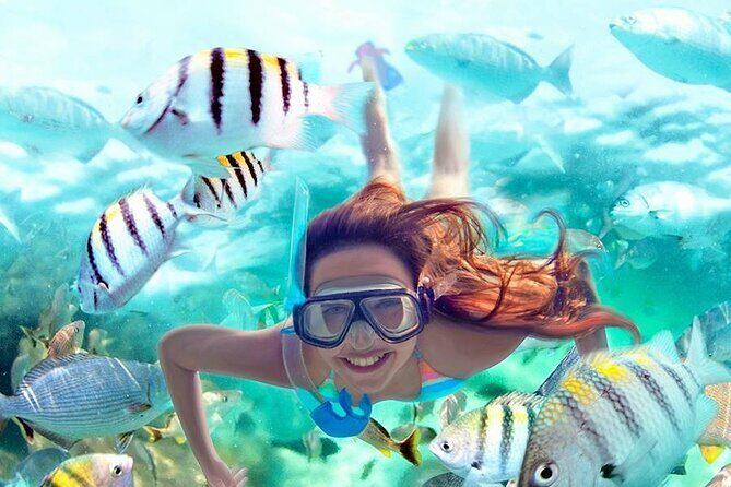 Best half-day snorkel tour: visit Kaan Luum, Yalku & Cenote - Who Will Love This Tour