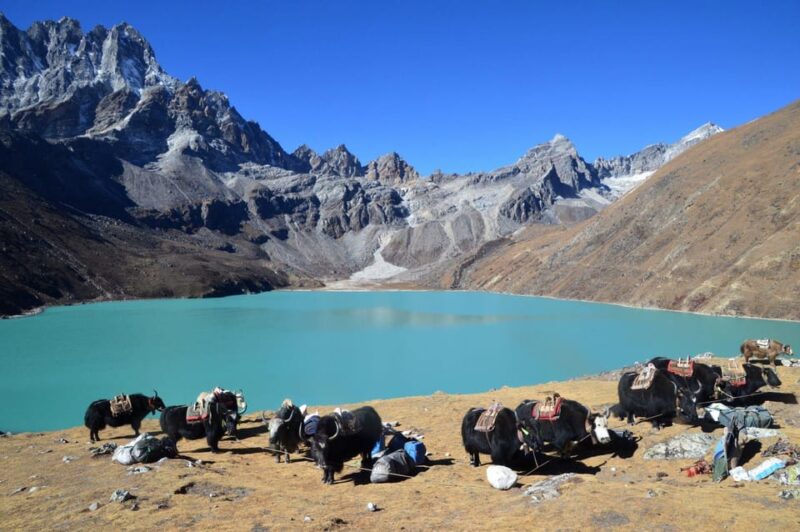 Best Hike to Gokyo Lake Trek - Scenic Highlights