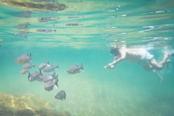 Best in Class: Private Snorkeling Xpedition - Booking Information