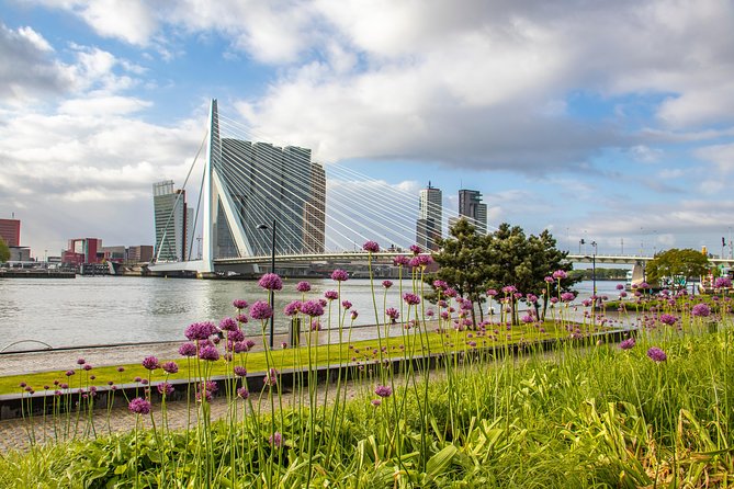 Best Intro Tour of Rotterdam With a Local - Overview and Inclusions