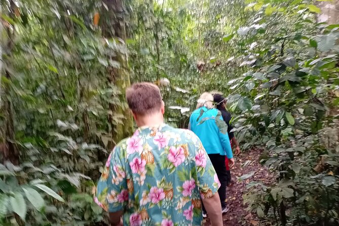 Best Jinja Source of the River Nile Day Experience - What to Expect From the Tour