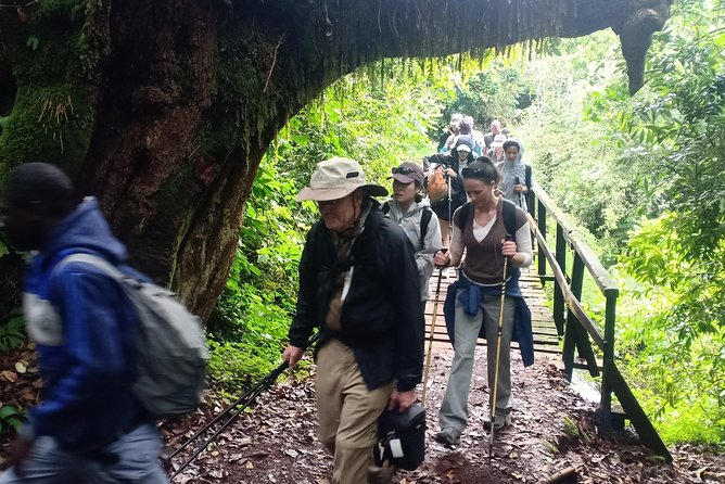 Best Kilimanjaro Adventures 6 Days Marangu Route Experience - Key Points