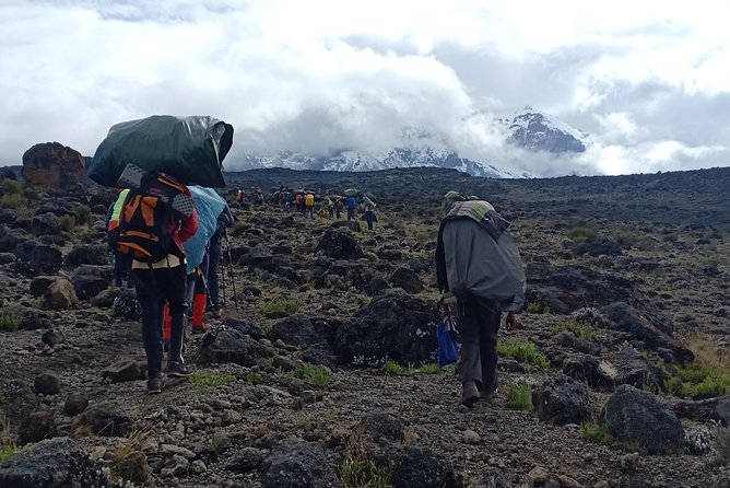 Best Kilimanjaro Adventures 6 Days Marangu Route Experience - Meeting and Pickup Details