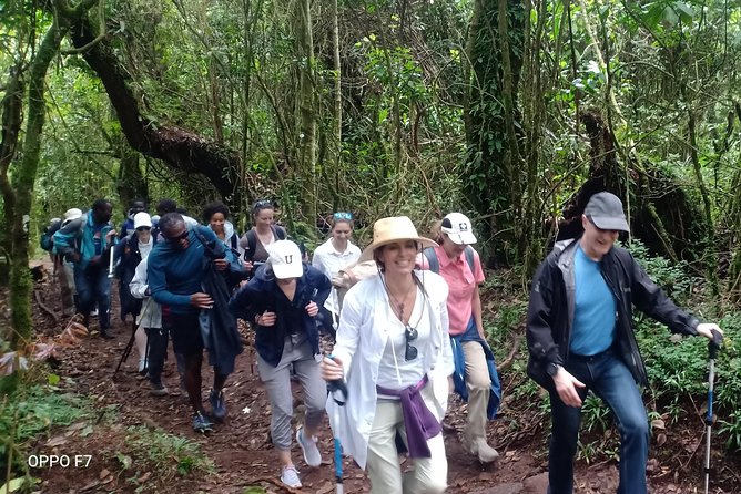 Best Kilimanjaro Adventures 6 Days Marangu Route Experience - Accommodation and Meals