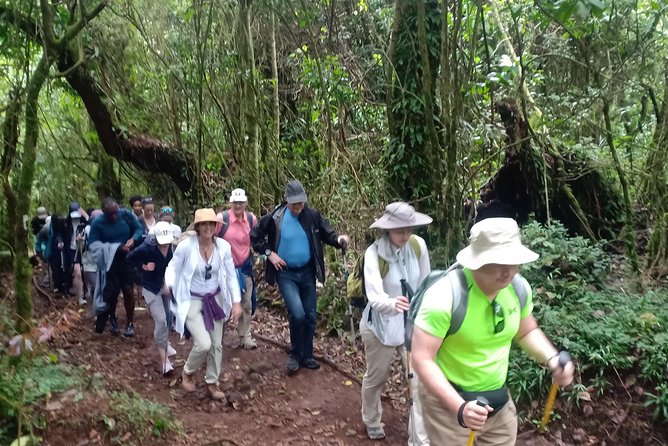 Best Kilimanjaro Adventures 6 Days Marangu Route Experience - Experienced Mountain Guides