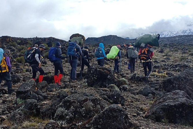 Best Kilimanjaro Adventures 6 Days Marangu Route Experience - Ethical Practices and Policies