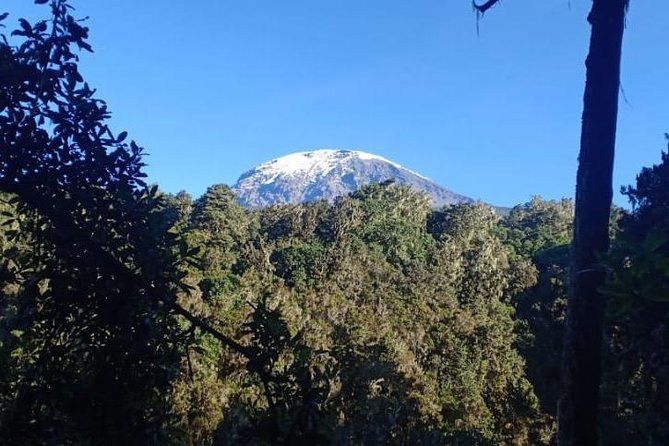 Best Kilimanjaro Hiking Day Trip Tour With Kilinge Adventures - Included in the Package