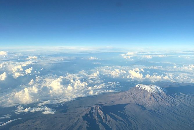 Best Kilimanjaro Hiking Day Trip Tour With Kilinge Adventures - Tour Operator and Pricing
