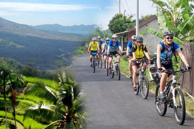 Best Kintamani - Ubud Bali Bicycle Tours - Key Points