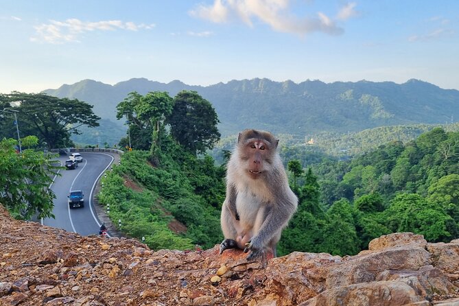 Best Lombok Rice Terrace Walking Tour With Waterfall & Monkey - Monkey Forest
