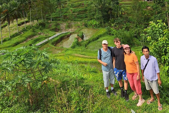 Best Lombok Rice Terrace Walking Tour With Waterfall & Monkey - Reviews and Feedback