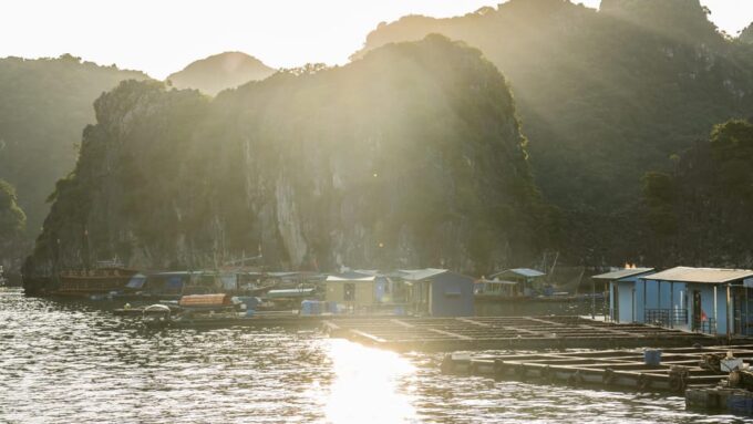 Best Love - Full Day Boat Tour to Lan Ha Bay and Ha Long Bay - Frequently Asked Questions