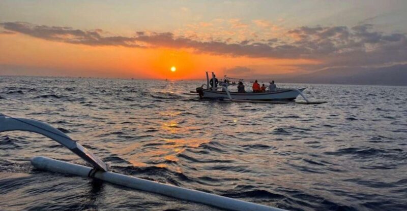 Best Lovina Sunrise Dolphin Private Boat - Key Points