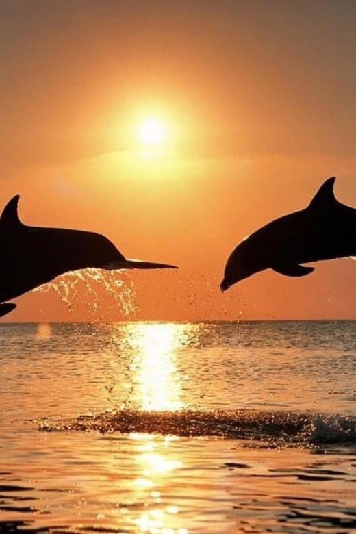 Best Lovina Sunrise Dolphin Private Boat - Inclusions and Exclusions