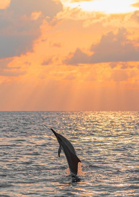 Best Lovina Sunrise Dolphins Watching Tour - Inclusions and Exclusions