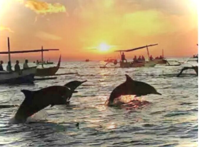 Best Lovina Sunrise Dolphins Watching Tour - Meeting Point and Directions
