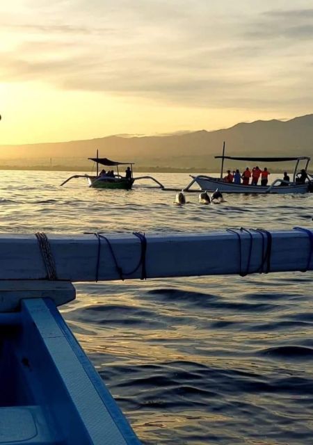 Best Lovina Sunrise Dolphins Watching Tour - Frequently Asked Questions