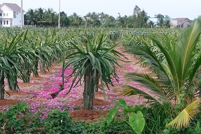 Best Mekong Delta Bike Tour - Traveler Feedback