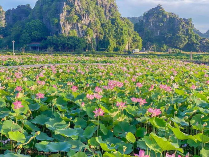 Best Ninh Binh Trip: Bai Dinh, Mua Caves, Trang An Boat Tour - Since You Asked