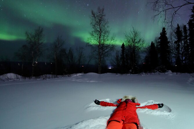 Best Northern Lights Aurora Adventure FREE Portraits & Hot Pizza - Customer Reviews