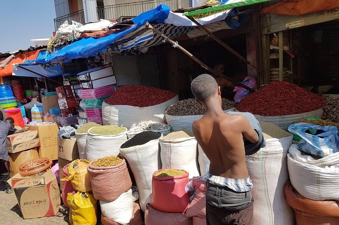 Best of Addis Ababa Guided City Tour - Tour Logistics