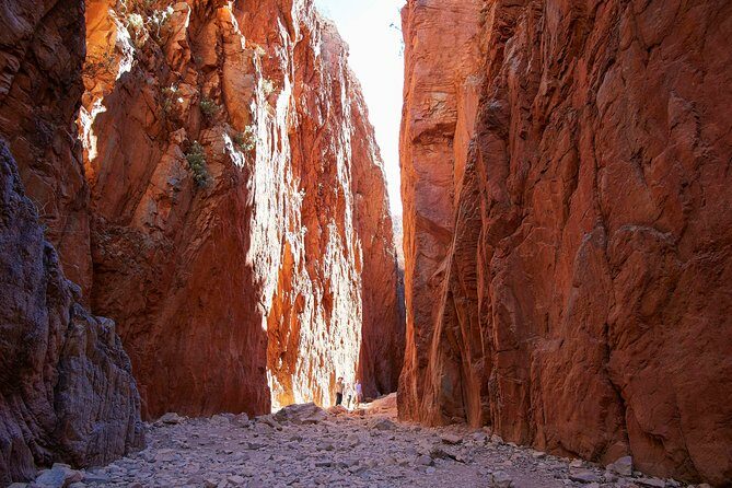 Best of Alice Springs Full Day Tour - A Deep Dive into the Best of Alice Springs Full Day Tour