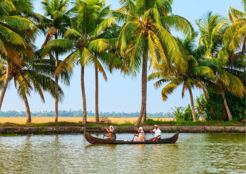 Best of Alleppey (Guided Full Day Sightseeing Tour by Car) - Important Information