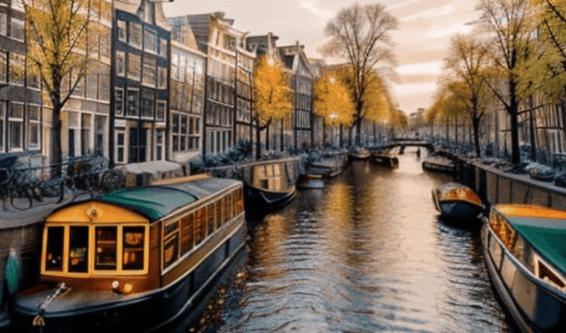 Best of Amsterdam City Tour - Highlights and Experience