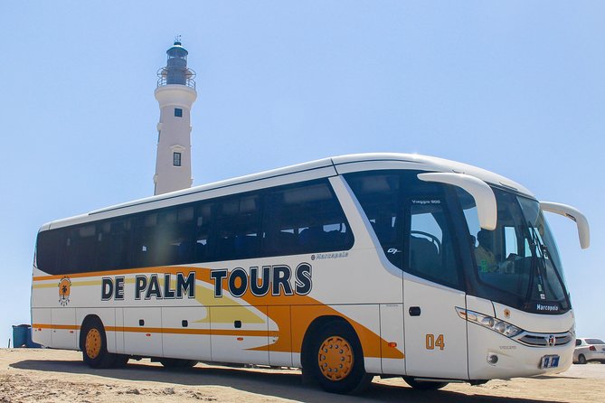 Best of Aruba by Bus - Itinerary and Highlights