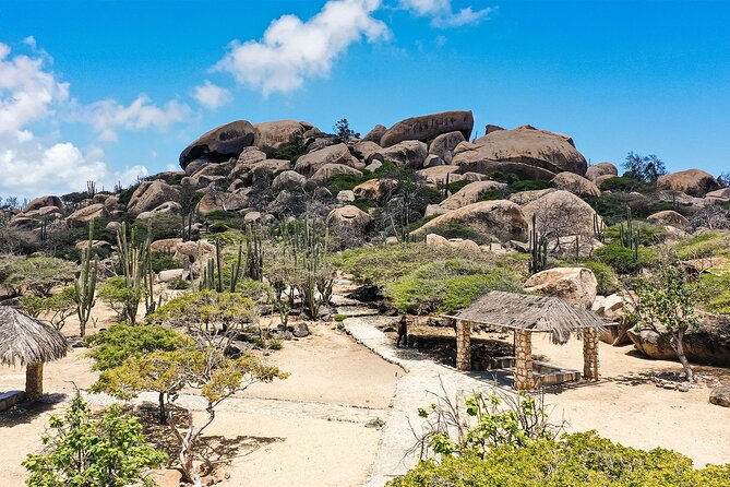 Best of Aruba by Bus - Accessibility and Group Size