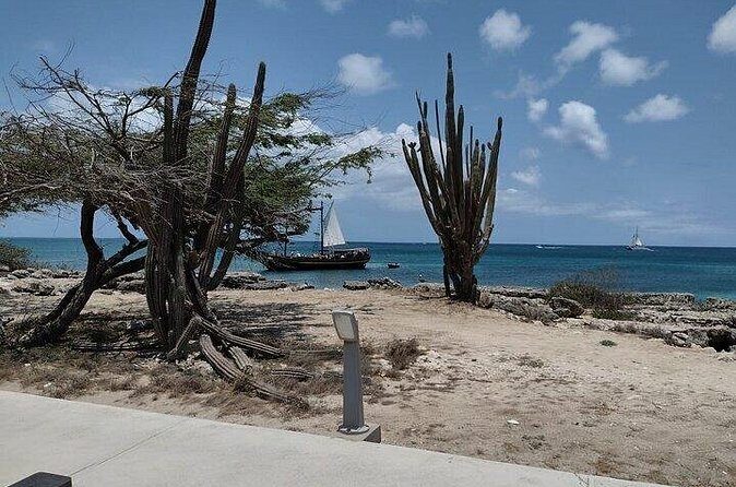 Best of Aruba Island Tours - Final Thoughts: Who Should Consider This Tour?