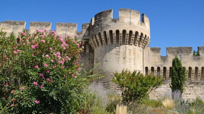 Best of Avignon: Private Walking Tour With a Local - Enjoy Insider Tips
