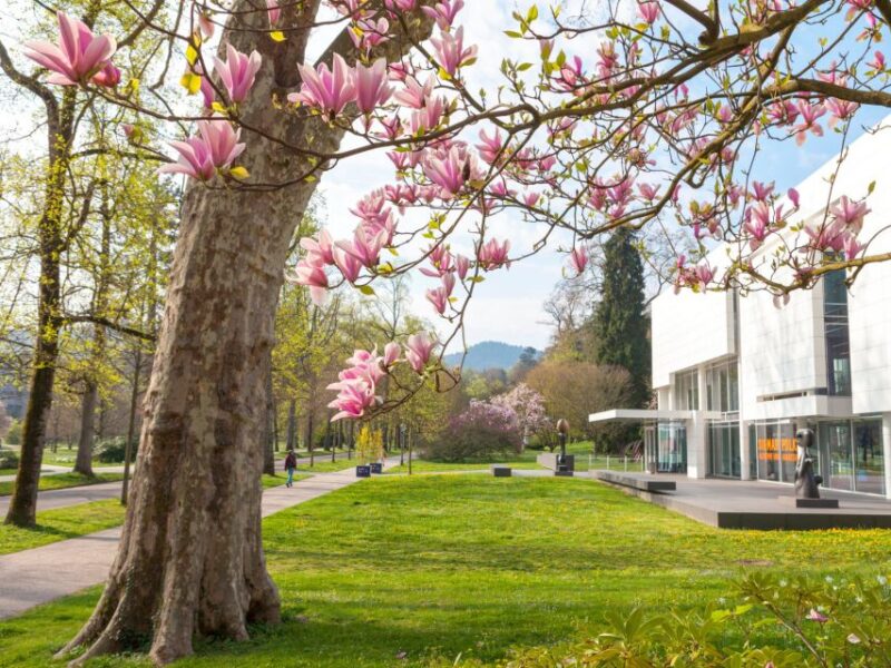 Best of Baden-Baden - City Tour - Exploring Baden-Badens Neighborhoods