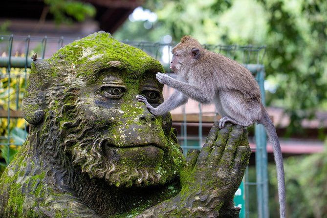 Best of Bali 3-Day Packaged Tour - Highlights of Day 1: Ubud Exploration