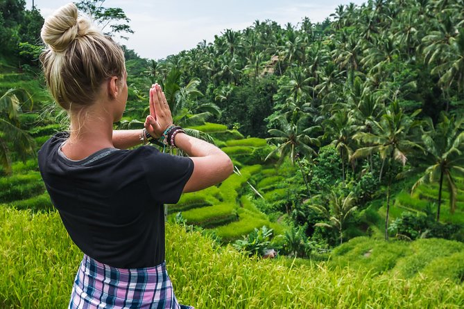 Best of Bali 3-Day Packaged Tour - Visiting Bedugul and Jatiluwih on Day 3