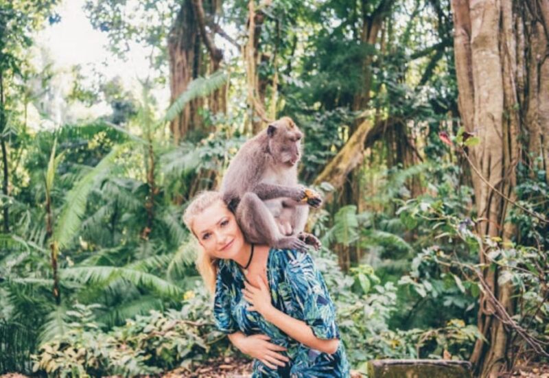 Best of Bali: 3 Day Tour Package - Northern Bali Exploration on Day 2