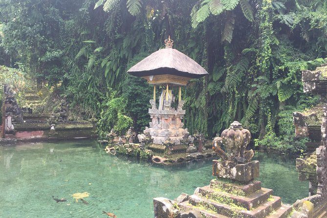 Best of Bali Private Shore Excursions - Key Points