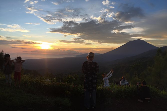 Best of Bali: the Most Scenic Spots - 5 Days - Transportation and Logistics