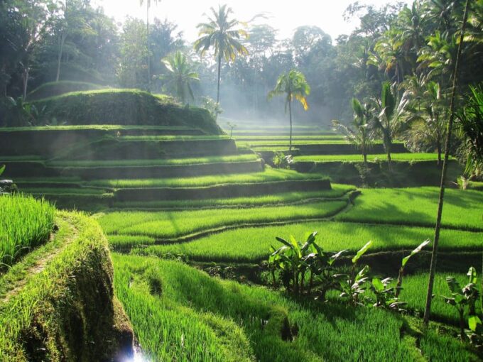 Best of Bali Tour Destination for 10 Hour Car Charter - Additional Charges
