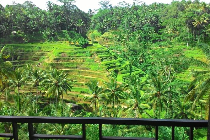 Best of Bali : Ubud, Rice Terrace, Tanah Lot Temple With Lunch - Highlights of the Itinerary