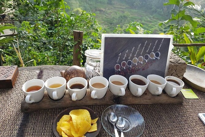 Best of Bali Ubud Sightseeing All Inclusive Private Tour - Additional Information