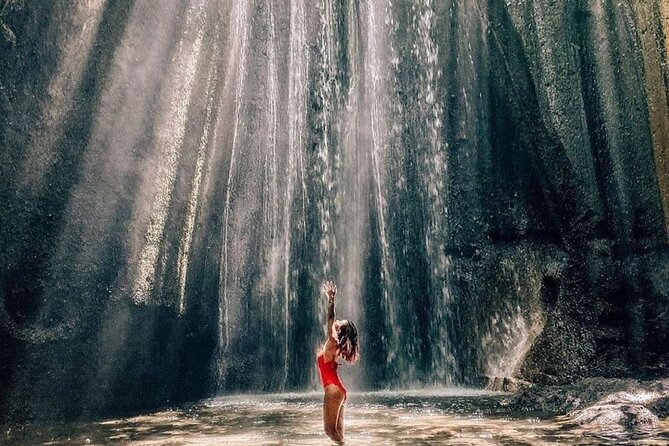 Best of Bali Waterfall, Tegalalang Rice Terrace, Monkey Forest - Highlights